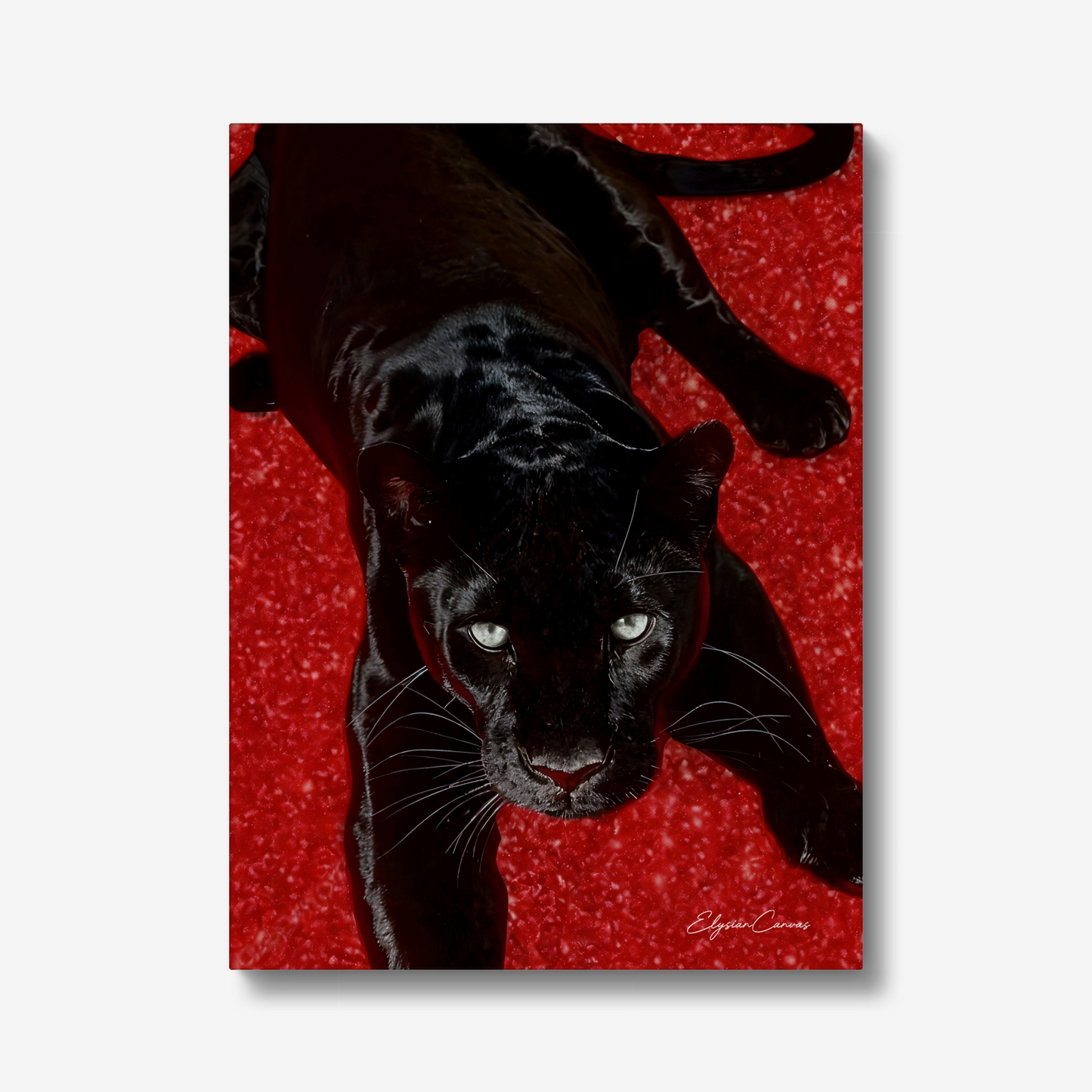 Velvet Predator