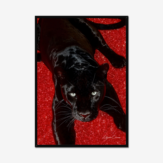 Velvet Predator